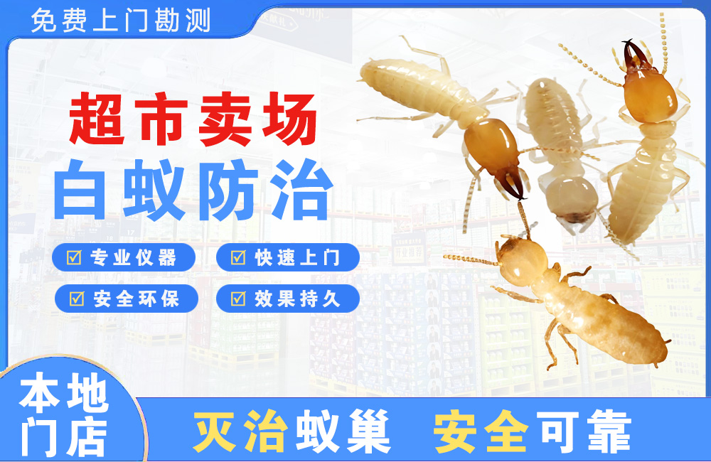 宜昌超市卖场白蚁防治