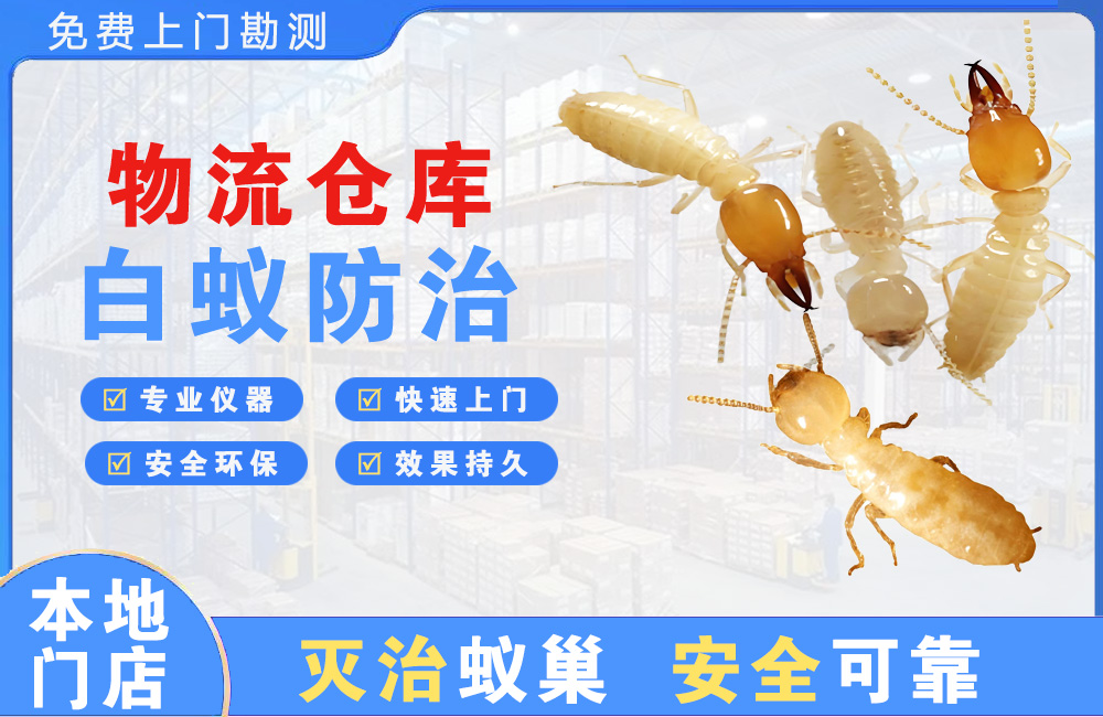 宜昌物流仓库白蚁防治