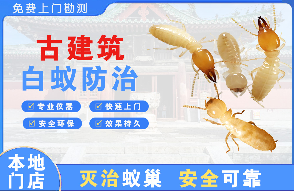 宜昌古建筑白蚁防治