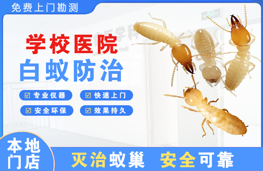 宜昌学校医院白蚁防治