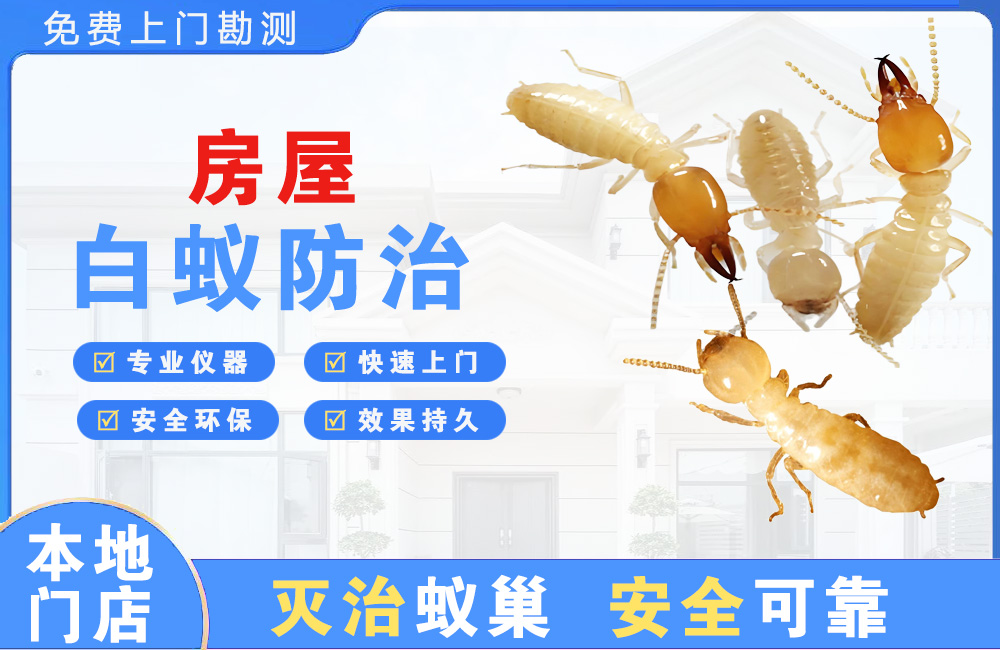 宜昌房屋白蚁防治