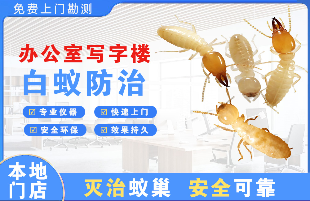 宜昌办公室写字楼白蚁防治