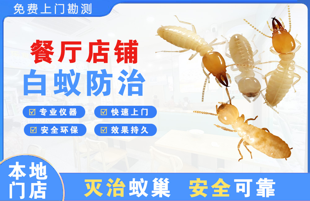 宜昌餐厅店铺白蚁防治